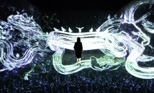 teamLab, Crows are chased and the chasing crows are destined to be chased as well, Transcending space © teamLab teamLab, Crows are chased and the chasing crows are destined to be chased as well, Transcending space © teamLab
