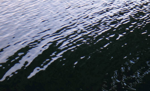 Céleste Boursier-Mougenot, acquaalta, document préparatoire, 2015. Courtesy de l’artiste et Galerie Xippas, Paris ; Paula Cooper Gallery, New York ; Galerie Mario Mazzoli, Berlin © ADAGP, Paris 2015 Céleste Boursier-Mougenot, acquaalta, document préparatoire, 2015. Courtesy de l’artiste et Galerie Xippas, Paris ; Paula Cooper Gallery, New York ; Galerie Mario Mazzoli, Berlin © ADAGP, Paris 2015
