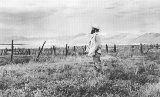 La Monte Young