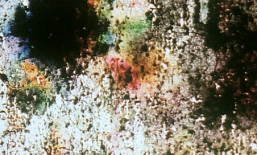 Baby Dream II, 2001, New Zealand/UK, 16mm, colour, silent, 5 min. Baby Dream II, 2001, New Zealand/UK, 16mm, colour, silent, 5 min.