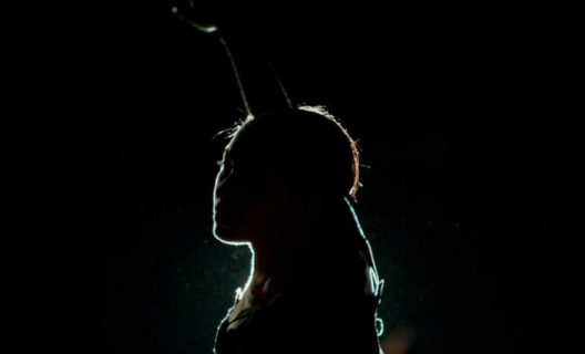 Myriam Gourfink, Inoculate Myriam Gourfink, Inoculate
