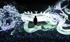 teamLab, Crows are chased and the chasing crows are destined to be chased as well, Transcending space © teamLab